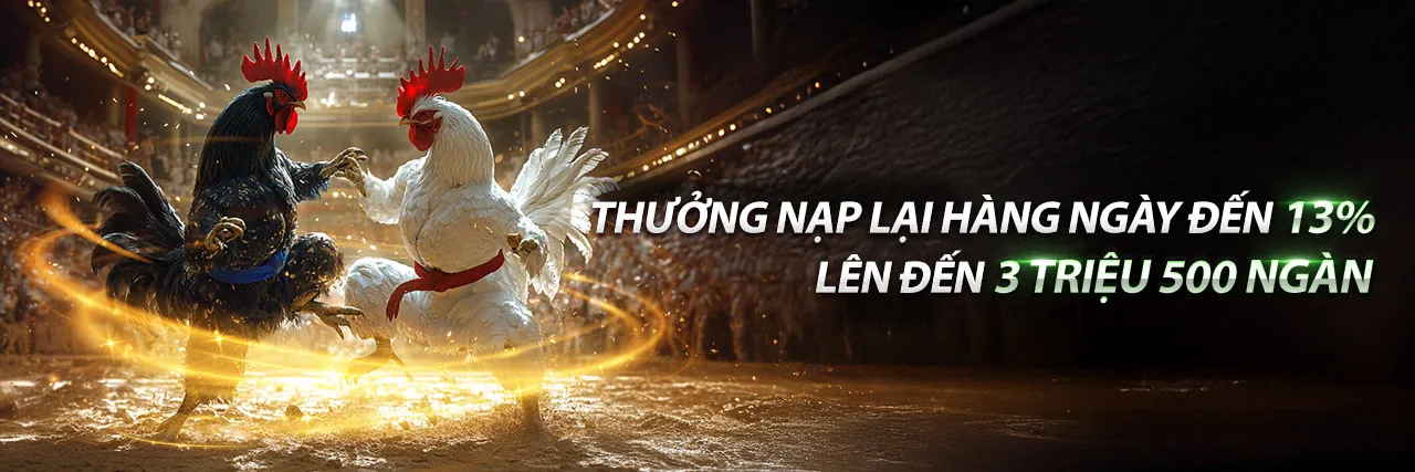 Tin tức SaoClub Nhà Cái